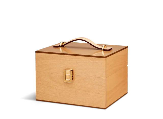saphir-medaille-d-or-shoe-care-kits-coffret-groom-schuhpflegeset-holz image 1